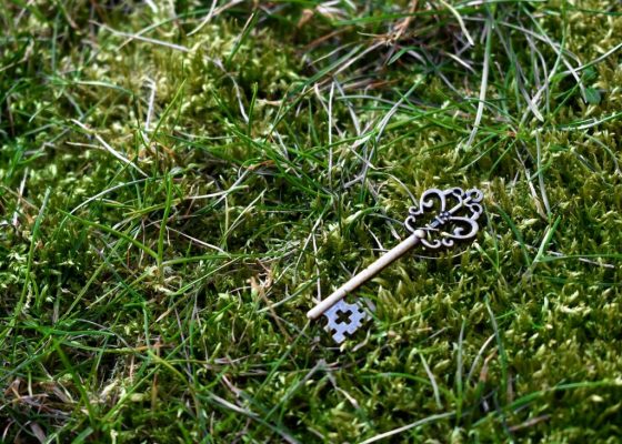 An old key lying on the grass